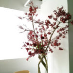 1. 春寒　茶月斎様にて季節の花を
