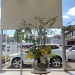 盛夏　ディーラー展示会生け込み