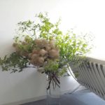 盛夏　治療院待合室への生け込み
