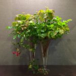 大暑　ご自宅玄関への生け込み