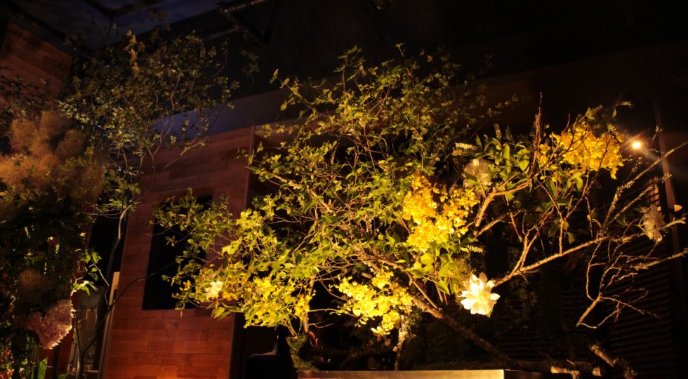 Flower Tribute in 函館