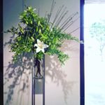 芒種　ショールーム生け込み