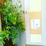芒種　料亭玄関生け込み