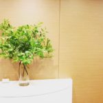 夏至　施設玄関生け込み
