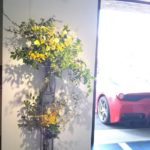 立秋　カーギャラリーへの生け込み