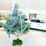 クリスマスーショールームへの装飾２