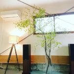 穀雨　美容室へのお届け