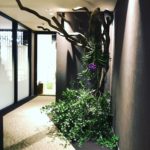 Niseko Summer Art Festival 2018