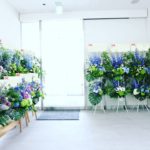 開園お祝いのスタンド−２