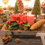 ポインセチアのクリスマスアレンジメント