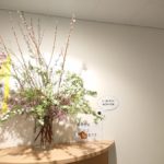 立春　クリニックエントランス生け込み