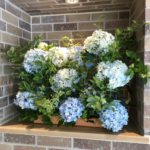 芒種　オフィスエントランス生け込み