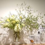 立秋 クリニック受付生け込み