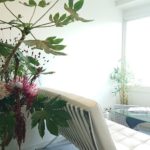 寒露　治療院受付生け込み /  Reception Flowers