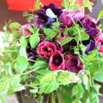 春の花束 / Spring Bouquet