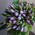ご命日　チューリップのお花束