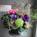 整骨院　開業のお祝いアレンジメント