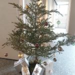 クリスマスツリー -2