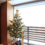 クリスマスツリー -3