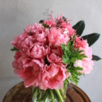 チューリップ　春の花束