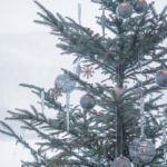 ホテル　クリスマスツリー