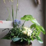 美容室開業のお祝いアレンジメント