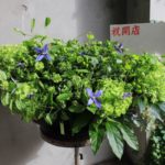 開店アレンジメント